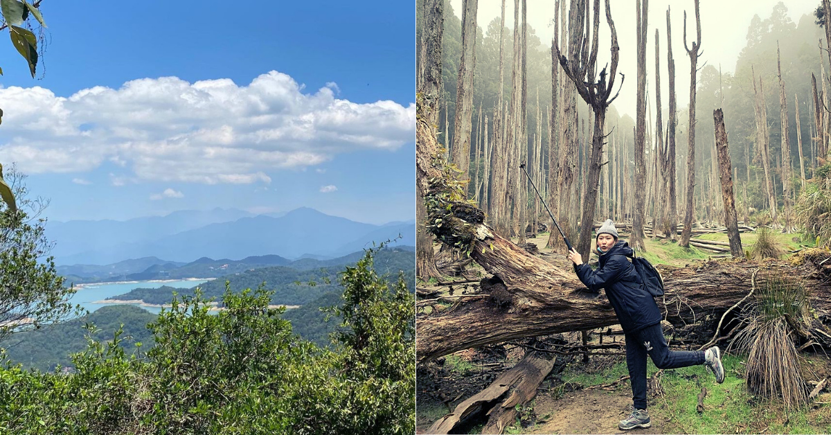 全台 小百岳 南投特輯 4座特色郊山推薦 幽靜的山間小徑 拜訪世外桃源忘憂森林 輕旅行