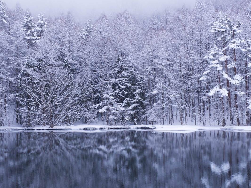 一生中必去名單漏了它 長野御射鹿池 隱身在長野高山裡的絕美仙境 輕旅行